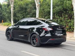 Tesla Model Y Rear-Wheel Drive - ფოტო 5