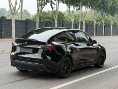 Tesla Model Y Rear-Wheel Drive - ფოტო 6