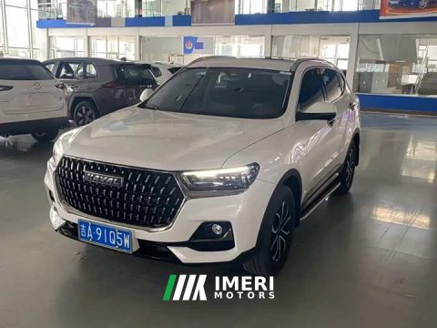 2024 Haval H6 2023 National Trend Edition 1.5T Automatic Champion Version - ავტომობილი ჩინეთიდან