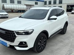 Haval H6 2023 National Trend Edition 1.5T Automatic Urban Version - ფოტო 1