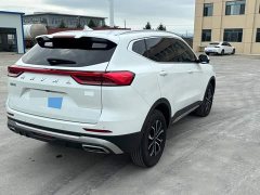 Haval H6 2023 National Trend Edition 1.5T Automatic Urban Version - ფოტო 5