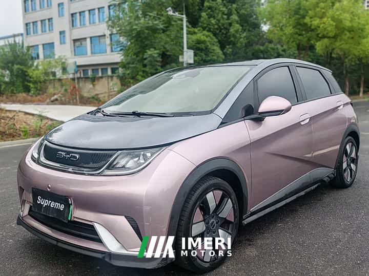 BYD Dolphin 401km Knight Edition - ავტომობილი ჩინეთიდან