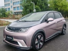 BYD Dolphin 401km Knight Edition - ფოტო 1