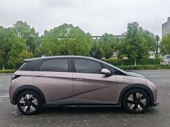 BYD Dolphin 401km Knight Edition - ფოტო 10