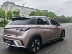 BYD Dolphin 401km Knight Edition - ფოტო 11