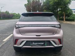 BYD Dolphin 401km Knight Edition - ფოტო 12
