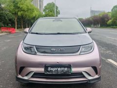 BYD Dolphin 401km Knight Edition - ფოტო 2