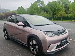 BYD Dolphin 401km Knight Edition - ფოტო 3