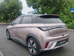 BYD Dolphin 401km Knight Edition - ფოტო 9