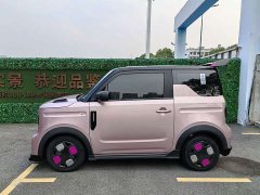 Geely Panda 200km Panda Kart - ფოტო 8