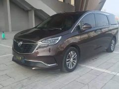 Buick GL8 ES Land Respect 653T Respect Enjoyment Edition - ფოტო 1