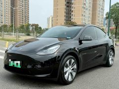 Tesla Model Y Facelift Rear-Wheel Drive - ფოტო 1