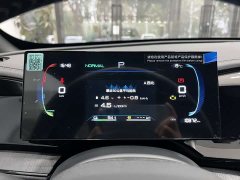 BYD Qin PLUS Glory Edition DM-i 55KM Superior - ფოტო 12