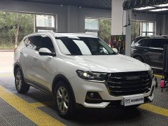 Haval H6 2021 National Trend Edition 1.5T Automatic Urban Version - ფოტო 3
