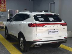Haval H6 2021 National Trend Edition 1.5T Automatic Urban Version - ფოტო 4