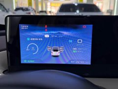 Wuling Binguo 203km Comfort Edition - ფოტო 14