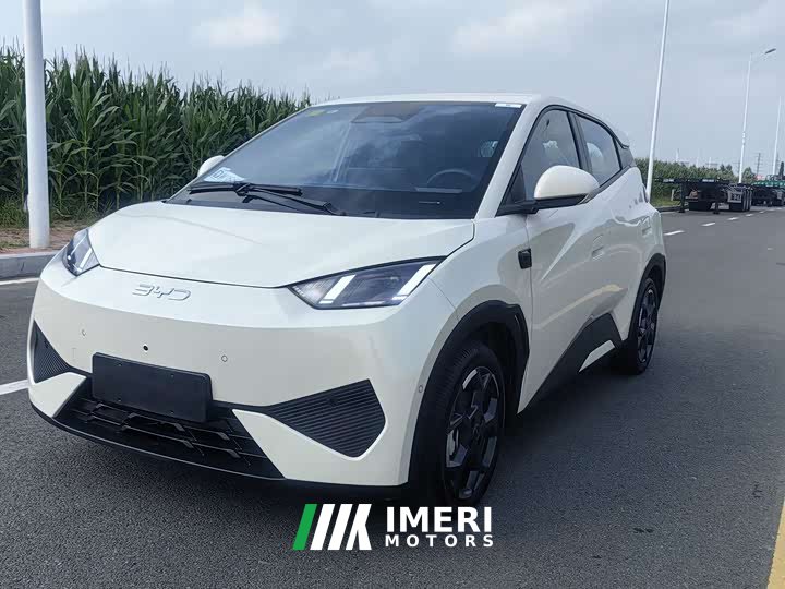 BYD Seagull Smart Driving Edition 305km Freedom Edition - ავტომობილი ჩინეთიდან