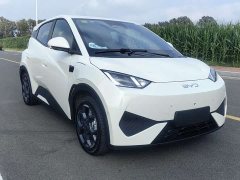 BYD Seagull Smart Driving Edition 305km Freedom Edition - ფოტო 3