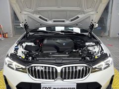 BMW 3 Series 320Li M Sport Package - ფოტო 9