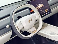 Nio Lerado L60 60kWh Rear-Wheel Drive - ფოტო 5