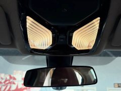 BMW 3 Series 320Li M Sport Package - ფოტო 20