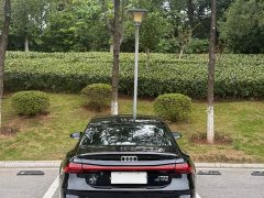 Audi A7L 45TFSI S-line Dream Edition Fluid Crystal Package - ფოტო 13