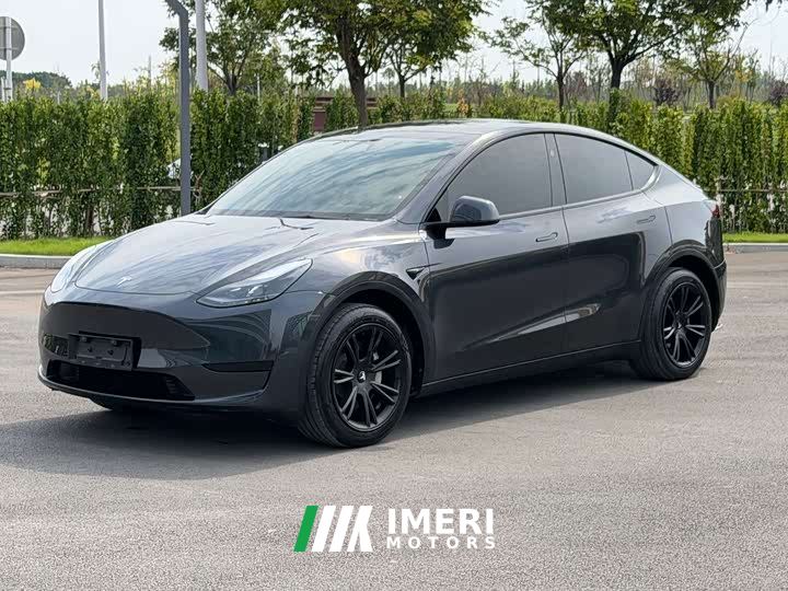 Tesla Model Y Rear-Wheel Drive