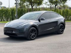 Tesla Model Y Rear-Wheel Drive - ფოტო 1