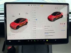 Tesla Model Y Rear-Wheel Drive - ფოტო 10