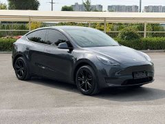 Tesla Model Y Rear-Wheel Drive - ფოტო 3