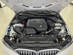 BMW 3 Series 320Li M Sport Package - ფოტო 13