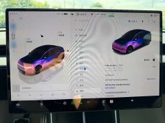 Tesla Model Y L Long Range All-Wheel Drive - ფოტო 10