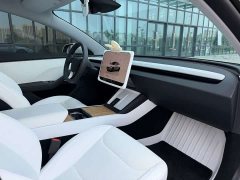 Tesla Model 3 Rear-Wheel Drive - ფოტო 10