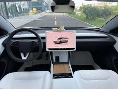 Tesla Model 3 Rear-Wheel Drive - ფოტო 8