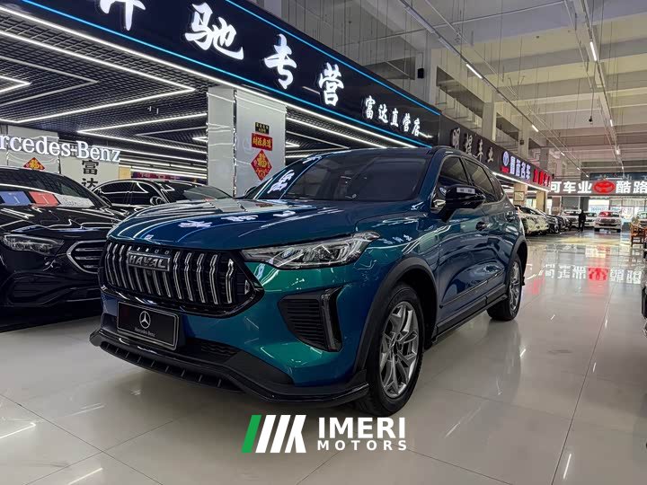 Haval Chitu Jingxiang Edition 1.5T Purple Copper Rabbit