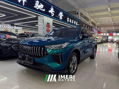 2023 Haval Chitu Jingxiang Edition 1.5T Purple Copper Rabbit