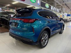 Haval Chitu 2022 Jingxiang Edition 1.5T Purple Copper Rabbit - ფოტო 6
