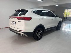 Haval H6 2021 National Trend Edition 1.5T Automatic Urban Version - ფოტო 16
