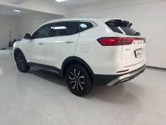 Haval H6 2021 National Trend Edition 1.5T Automatic Urban Version - ფოტო 19