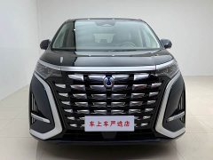 Denza BYD Denza D9 2022 DM-i 1040 Premium - ფოტო 2