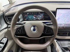 Denza BYD Denza D9 2022 DM-i 1040 Premium - ფოტო 8