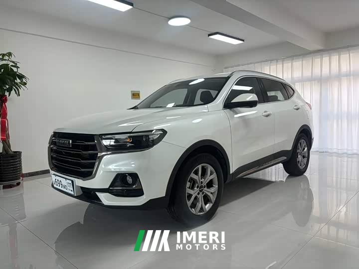 Haval H6 2021 National Trend 1.5T Automatic Champion Edition - ავტომობილი ჩინეთიდან