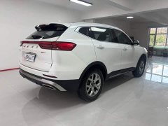 Haval H6 2021 National Trend 1.5T Automatic Champion Edition - ფოტო 20