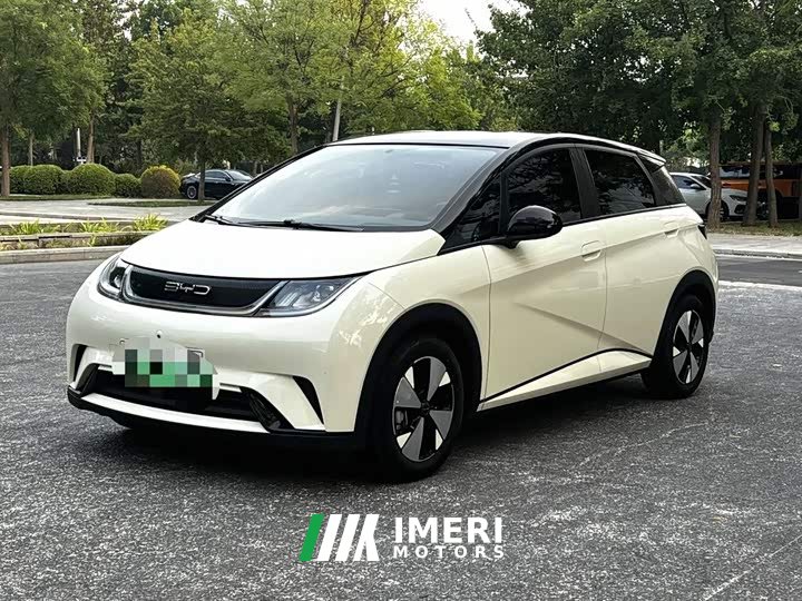 BYD Dolphin 420km Freedom Edition - ავტომობილი ჩინეთიდან