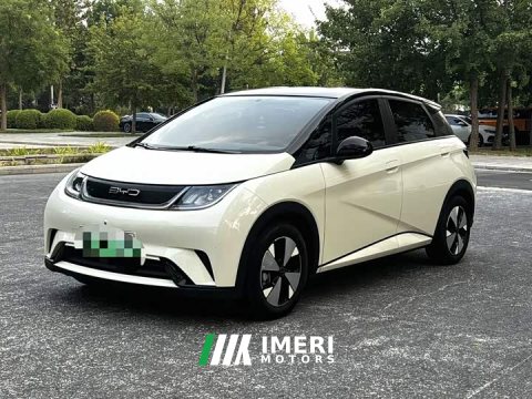 2023 BYD Dolphin 420km Freedom Edition - ავტომობილი ჩინეთიდან