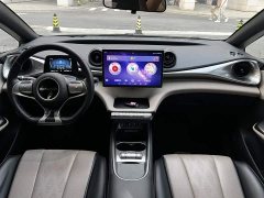 BYD Dolphin 420km Freedom Edition - ფოტო 11