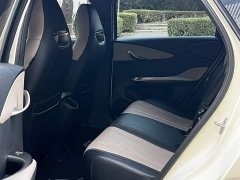 BYD Dolphin 420km Freedom Edition - ფოტო 12