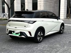 BYD Dolphin 420km Freedom Edition - ფოტო 16