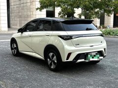 BYD Dolphin 420km Freedom Edition - ფოტო 17