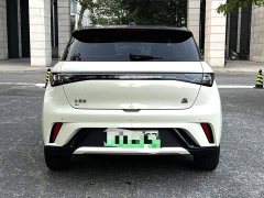 BYD Dolphin 420km Freedom Edition - ფოტო 18